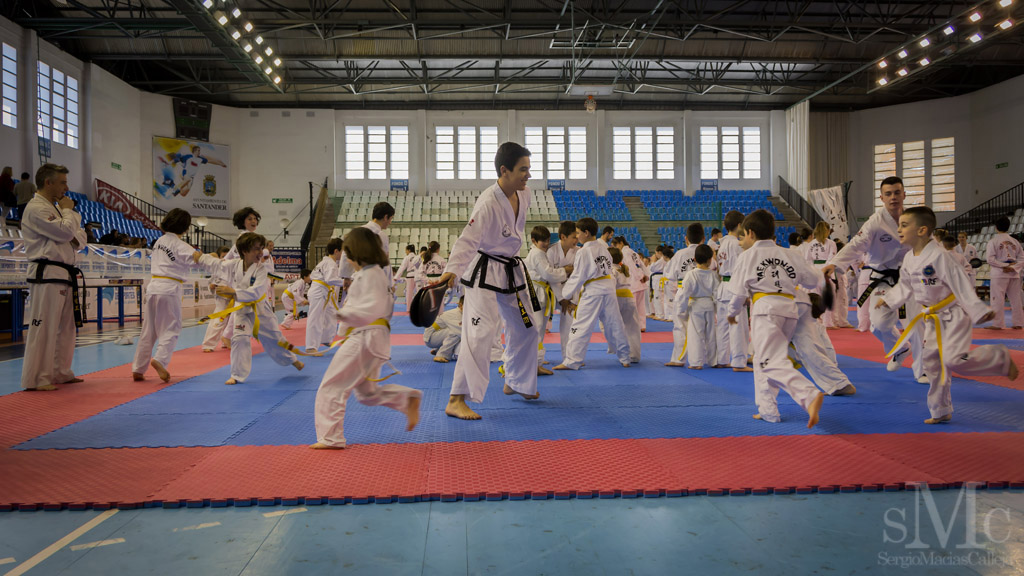 DIA DEL TAEKWONDO ABRIL 2017_3631.JPG